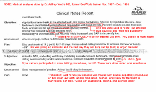 SeaWorld’s description of a modified pulpotomy, with annotations (in red) provided by John Jett et al. (Image: Jeffrey Ventre)